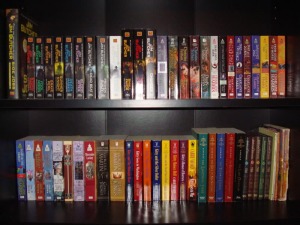 picture of engaging looking bookshelf